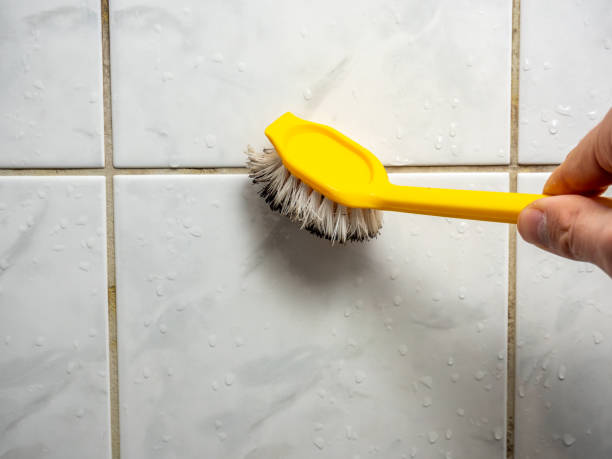 Best Home Mold Removal  in Cabot, AR