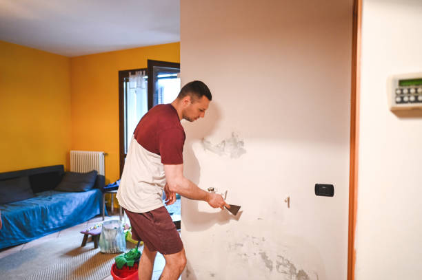 Best Same-Day Mold Removal  in Cabot, AR